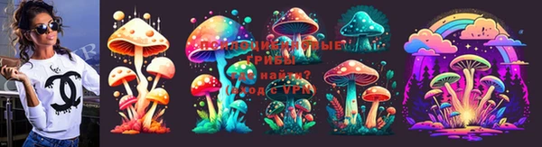 каннабис Арсеньев