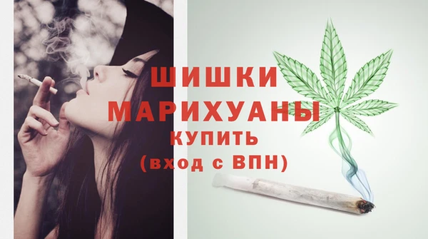 стаф Аркадак