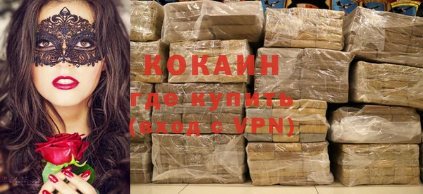 стаф Аркадак