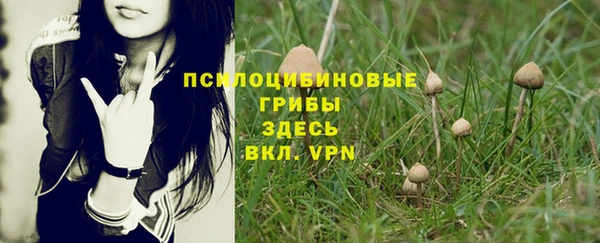 кристаллы Алексеевка