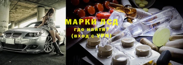 ГАЛЛЮЦИНОГЕННЫЕ ГРИБЫ Алзамай