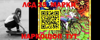 мяу мяу мука Гусь-Хрустальный