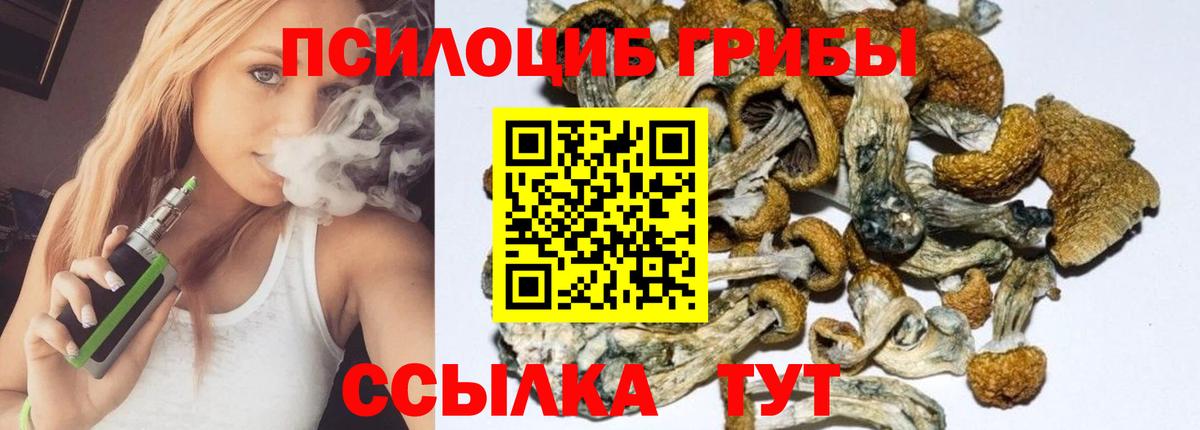 Галлюциногенные грибы Magic Shrooms Нарткала