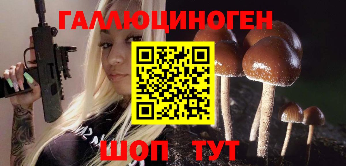 Псилоцибиновые грибы Magic Shrooms  Галлюциногенные грибы Magic Shrooms  Вход с VPN  Нарткала 
